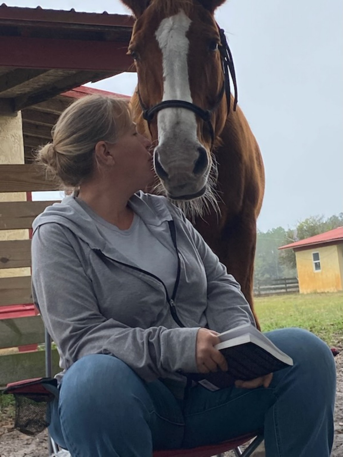 A quiet moment of connection with a chestnut horse