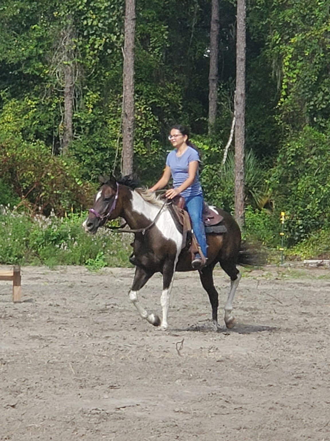 A rider working with a paint horse
